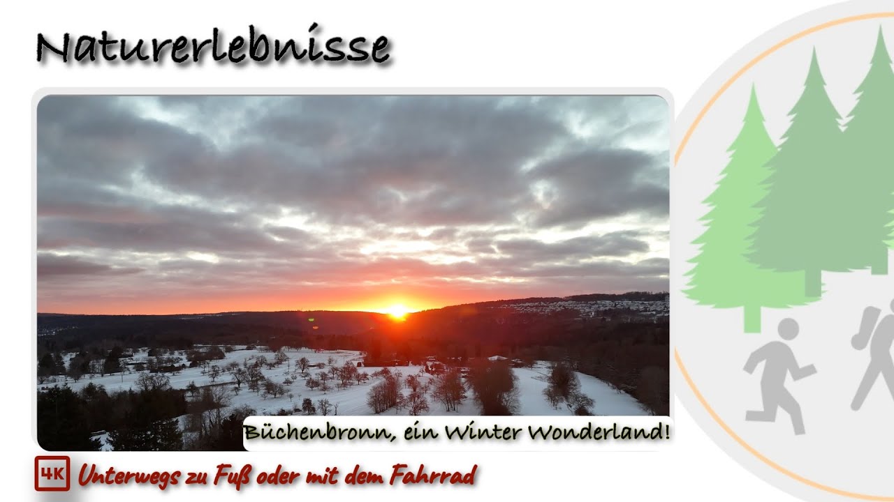 Winterwanderung, entdecke den magischen Schwarzwald in Büchenbronn!
