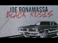 Miniature de la vidéo de la chanson Black Roses