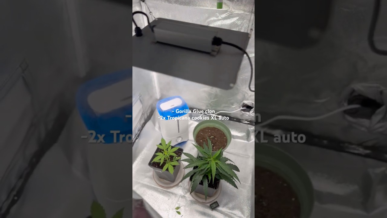 23 de noviembre de 2025 