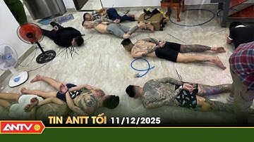 Tin tức an ninh trật tự nóng, thời sự Việt Nam mới nhất 24h tối ngày 11/12 | ANTV