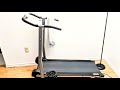 PROGEAR 190 Manual Treadmill Experience after 2 Years (Walking)