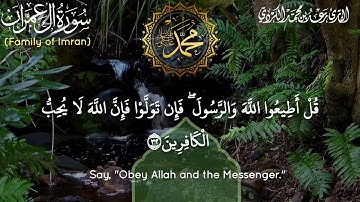 "قل إن كنتم تُحبون الله فاتبعوني يُحببكم الله" تلاوة عذبة خاشعة من سورة آل عمران - الشيخ رعد الكردي