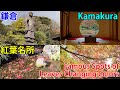 【癒される】鎌倉の紅葉名所 Kamakura Famous Spots of Leaves Changing Colors 円覚寺・明月院・建長寺・鶴岡八幡宮・瑞泉寺・長谷寺・妙本寺・覚園寺