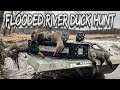 Flooded river duck hunting  mallards  teal