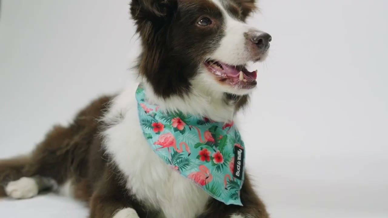 Step into style. Bud & Billy. Shop now