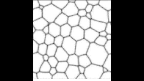 Soap Bubble Evolution