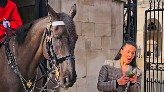 HE DID WARN HER! Horse plays 'Dare' with a tourist - and wins! King's Guard not amused!