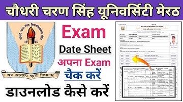 ccsu date sheet 2024 download kaise kare | ccsu ba bsc bcom 1st, 3rd, 5th semester exam date 2024