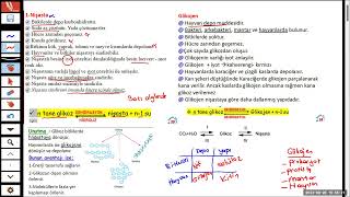 KARBONHİDRAT -5 (Selçuklu Fen Lisesi Biyoloji öğretmeni Bülent ÇELİK)