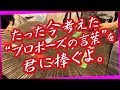 ぐちつぼとたらこにプロポーズされました。【限界実写ボドゲ】