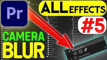 CAMERA BLUR(Blur & Sharpen)ALL-Every Effect in Adobe Premiere Pro2023 ExplainedEp5UrduHindiاردوहिंदी