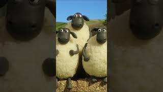 Trampoline🐑🐑🐑 #Shorts  #Shaunthesheep  #Cartoonforkids #Animation  #Sports