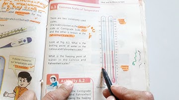 General Science class 4 chapter 6 solved mcqs || PST || NTS