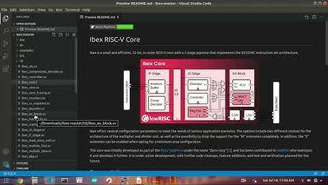 Ibex processor series Part 1 | Introduction