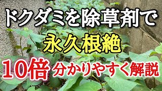 【雑草対策】簡単にドクダミを確実に生えなくする方法