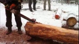 Log Debarker Écorceuse Sur Scie A Chaine