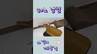 30초 냥멍 - 아깽이 깨방정 😆 #20210910