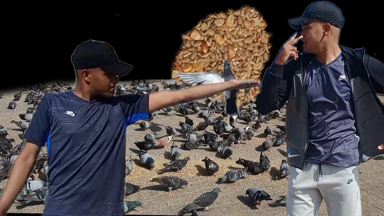 انا في ساحة لحمام جبت لحمام ميكل جوراءع ♥️🥺