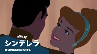 Disney Channel Japan - Disney Channel Movies - Next Cinderella