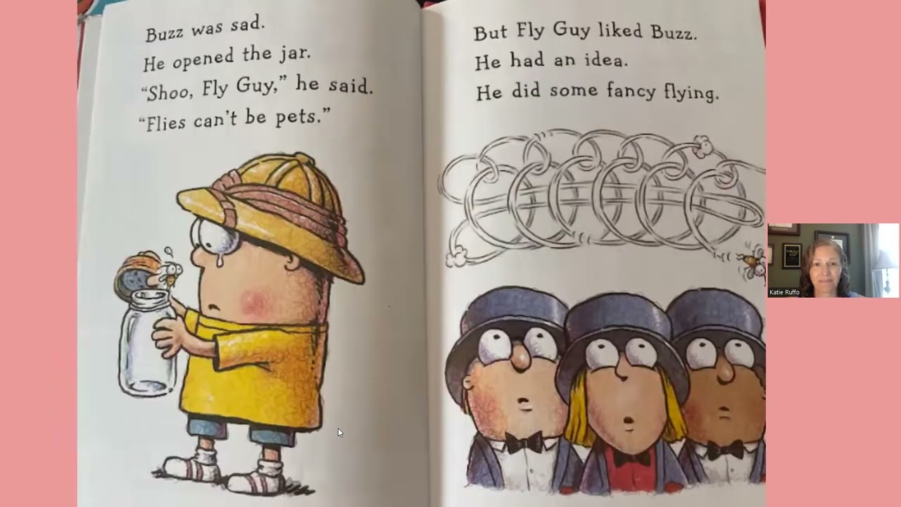 Hi! Fly Guy