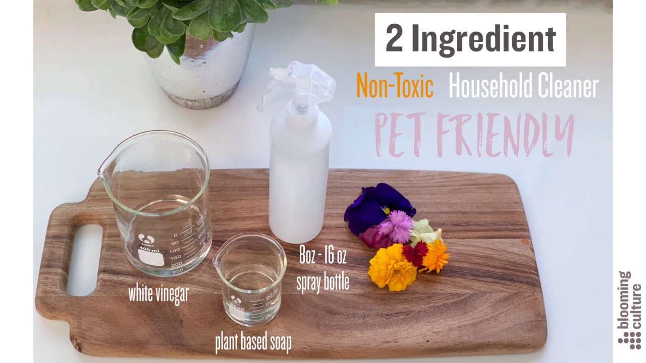 Homemade All Purpose Cleaner- Non-Toxic and Pet Safe | Blooming Culture