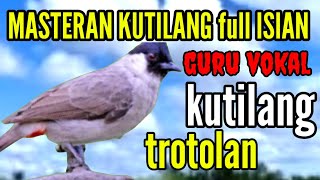 masteran kutilang gacor full isian mewah| guru vokal kutilang trotolan