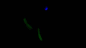 weave (juggling led balls/glowballs)