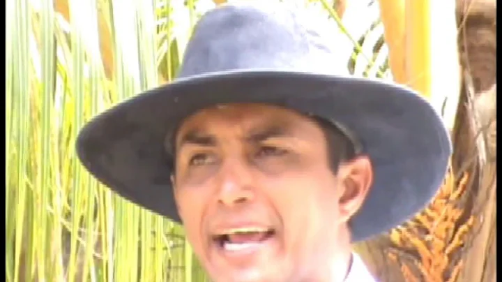 Toni Mejias, Chaguaramas en Quirpa letra Antonio M...