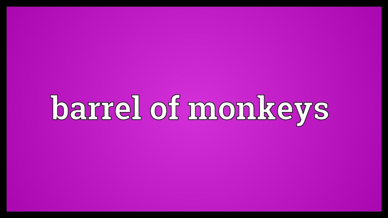 Barrel Of Monkeys Meaning YouTube