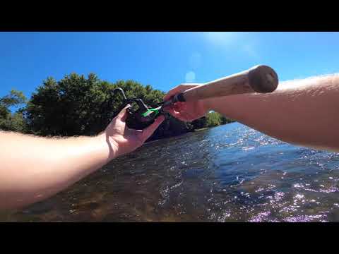 Smallmouth Bass fishing Delaware River 9-1-22