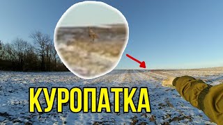 ОХОТА НА КУРОПАТКУ С ПНЕВМАТИКОЙ /// ПРОВЕРКА СИЛКОВ НА КУРОПАТОК