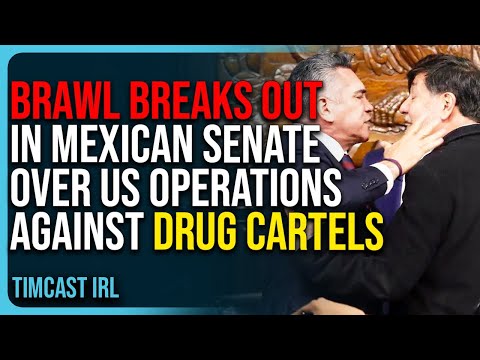 Brawl Breaks Out In Mexican Senate In Viral Video Over US Operations Against Drug Cartels