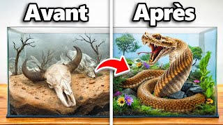 J'ai Transformé une Maison de Serpent Abandonnée