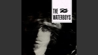 Video thumbnail of "The Waterboys - Savage Earth Heart (2002 Remaster)"