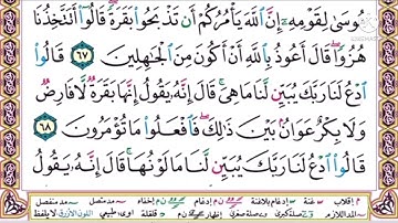 #سورة البقرة#الصفحة 10 #مكررة 10 مرات #أيمن السويد