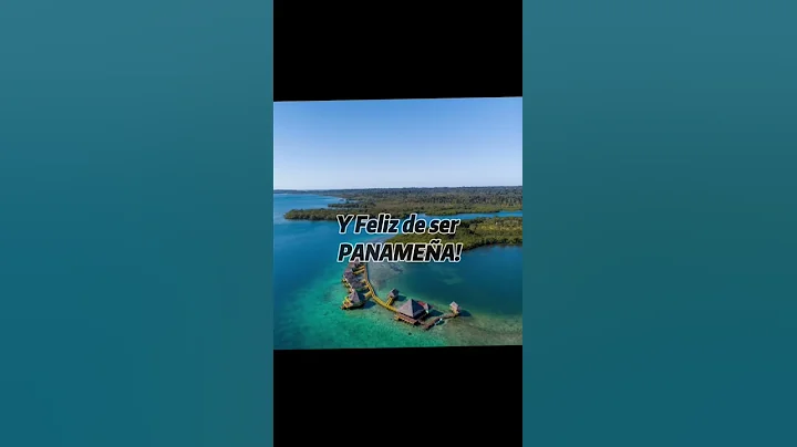 Untitled video