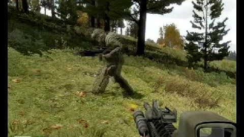 ArmA 2 funny bug