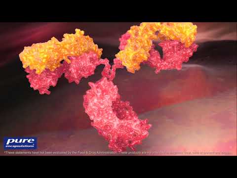 Видео: Nutrigenomics-ийн шинэ судалгаа