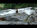 The Breathtaking Beauty of Nature: Survival Alone In The Rainforest | EP.87