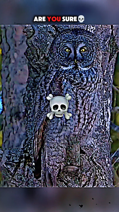 Coldest camouflage🥶🔥#sigma #sigmamale #sigmarules #trollfaceedit #aura #disaster #ytshorts