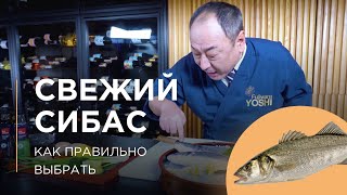 Как выбрать свежую рыбу сибас? | Советы от шеф-повара