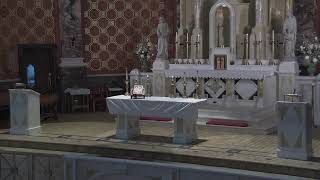 Memorial of Saint Kateri Tekakwitha