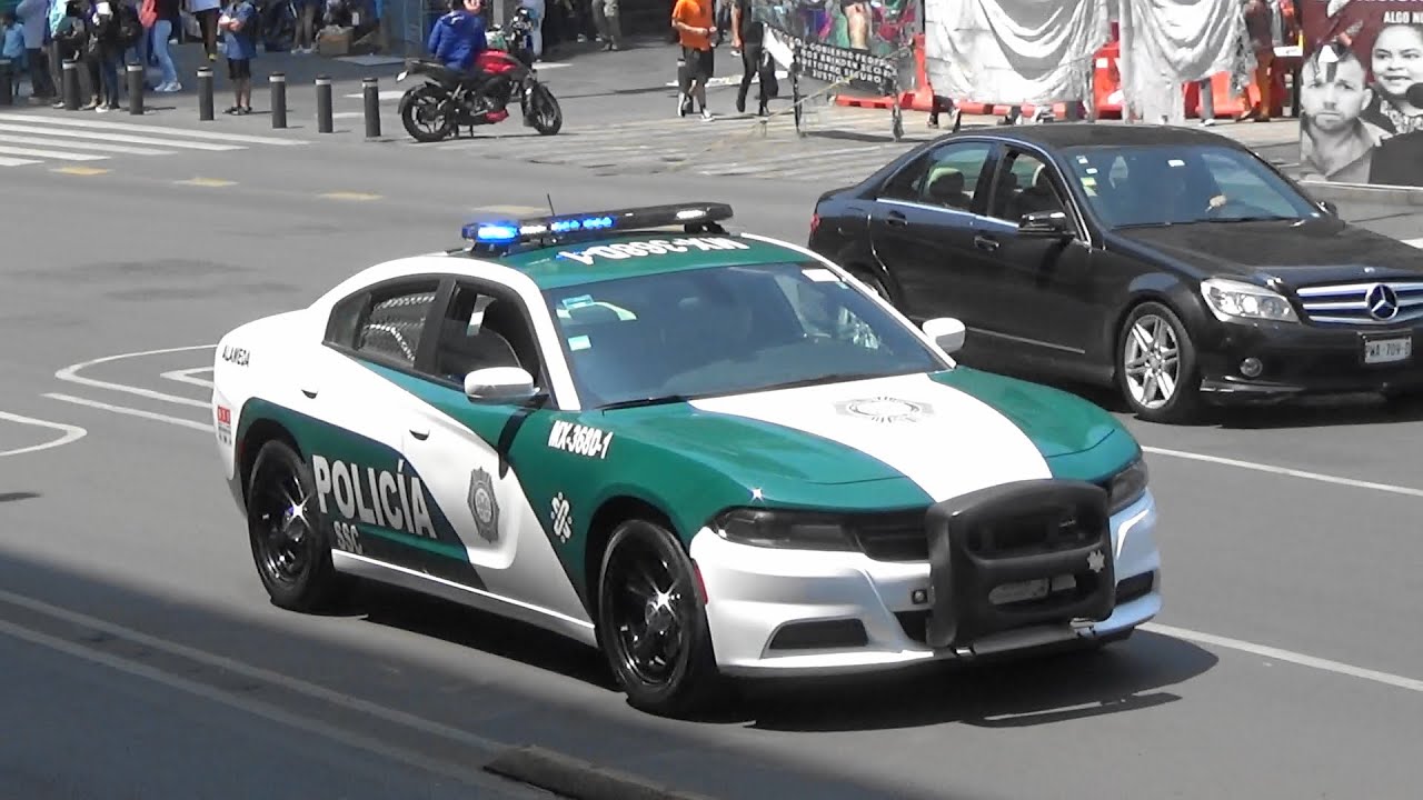 Placa Policía De La Ciudad De México