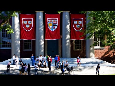 Harvard Business School Case the Fashion Channel