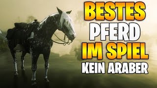 Red Dead Redemption 2: Das BESTE Pferd im Spiel - KEIN ARABER | Alle Seltenen Pferde UMSONST