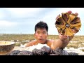 Mukbang giant sea urchin with spicy sauce eating delicious boy tapang 