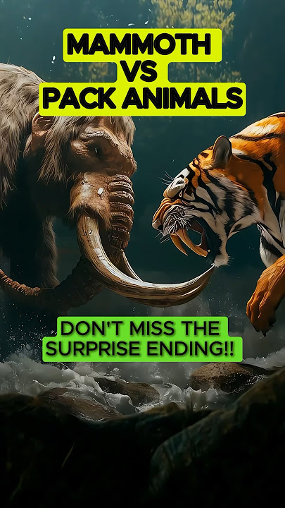 Mammoth vs Deadly Animal Packs and Dinosaurs! (Lion, Tiger, Wolf)