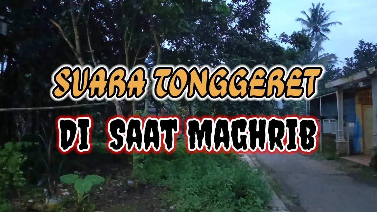 Suara Tonggeret Pas Adzan Maghrib#suarahewan 
