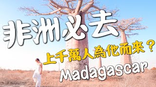 非洲必去馬達加斯加生命大道上千萬人為它而來環球之旅 Madagascar