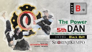 The Power of 5th DAN - Part B - Shorinji Kempo